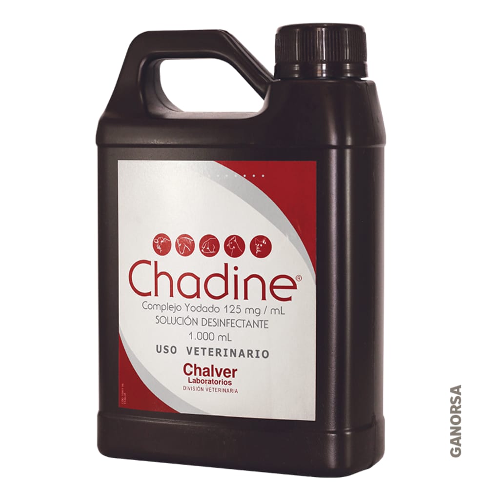 Imagen de CHADINE GARRAFA X 1000 ML