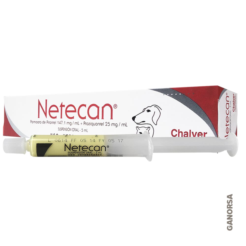 Imagen de NETECAN JERINGA X 5 ML