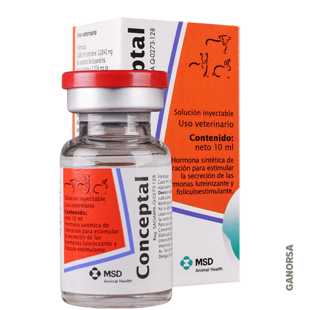 Imagen de CONCEPTAL x 10 ML