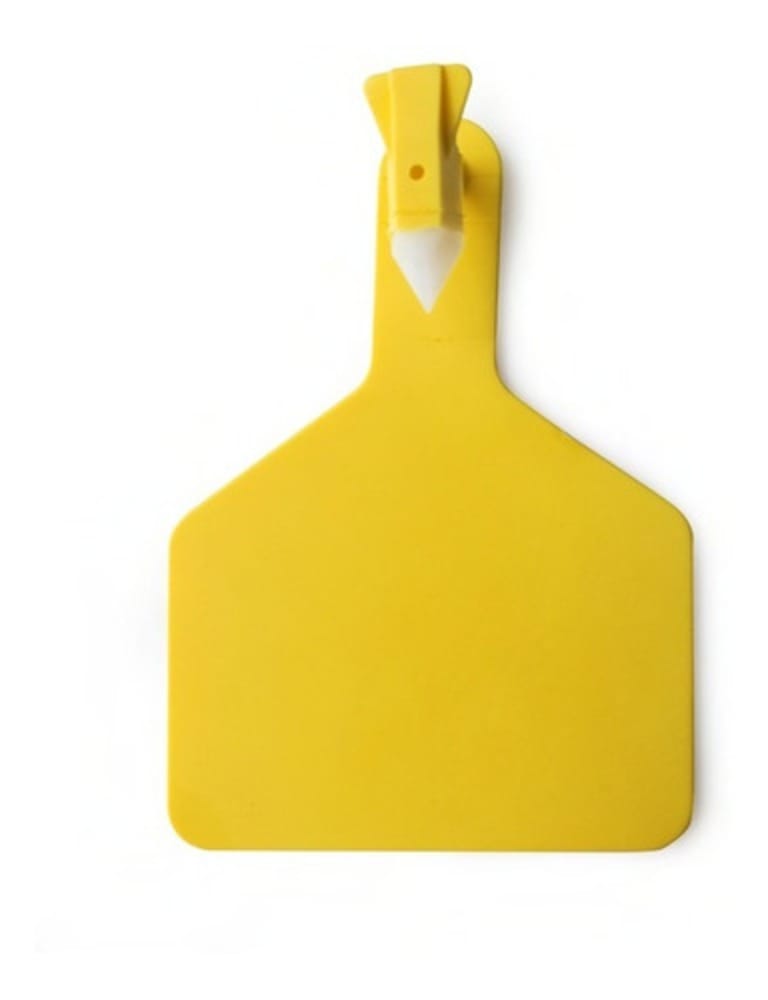 Imagen de ARETES AMARILLOS IVS DE UNA PIEZA X 25 UDS