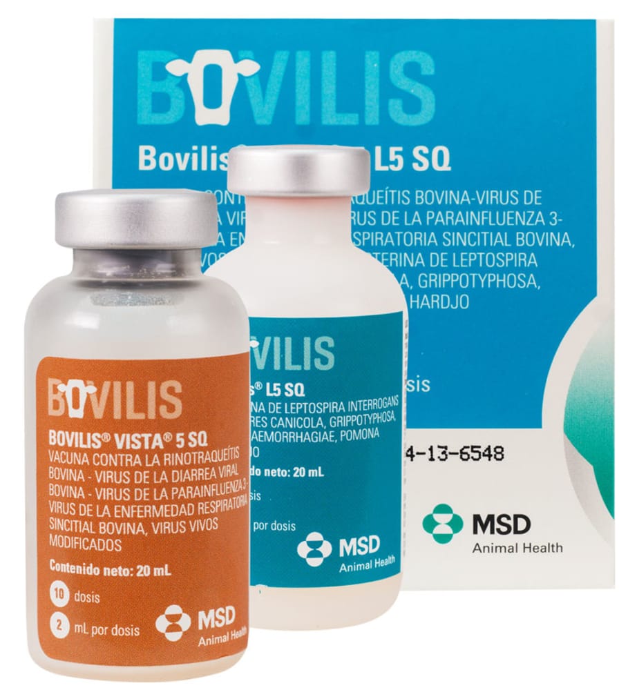 Imagen de BOVILIS VISTA 5 L5 SQ X 10 DOSIS