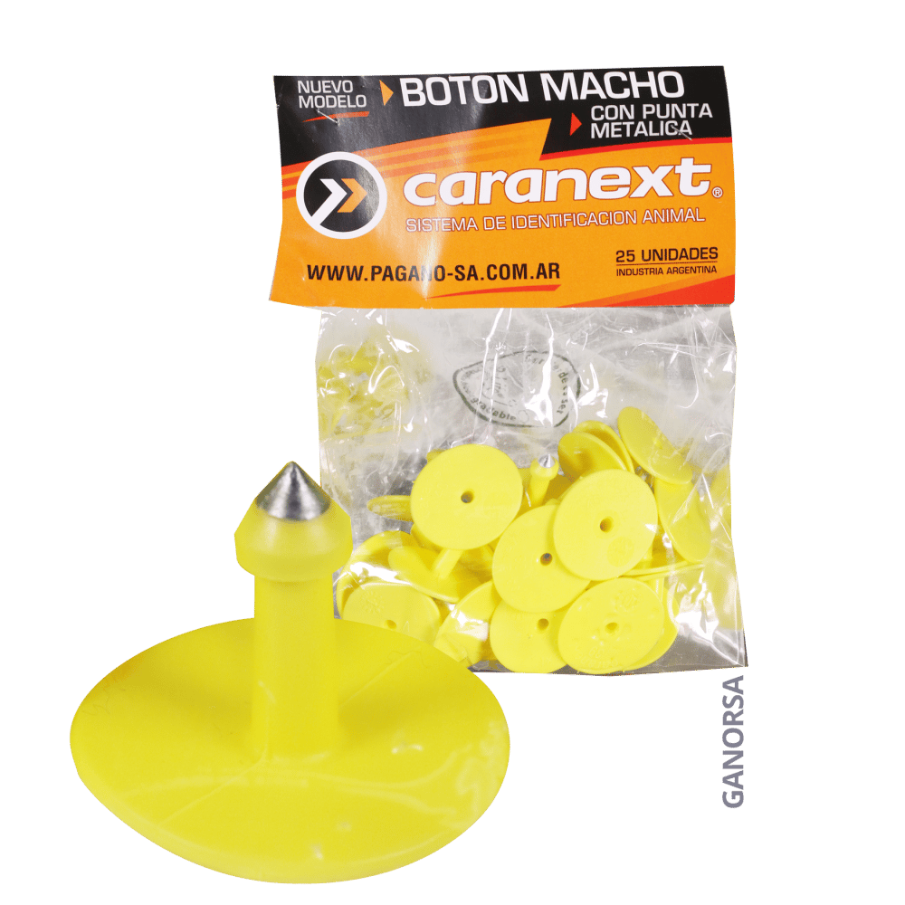 Imagen de ARETE BOTON PORCINO AMARILLO 25 UDS.