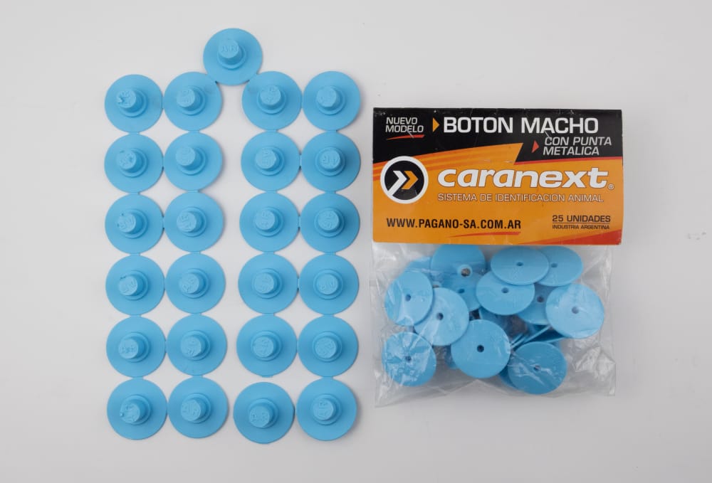 Imagen de ARETE BOTON PORCINO CELESTE 25 UDS.