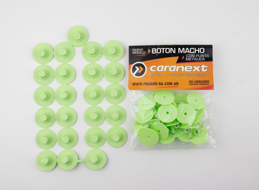 Imagen de ARETE BOTON PORCINO VERDE 25 UDS.