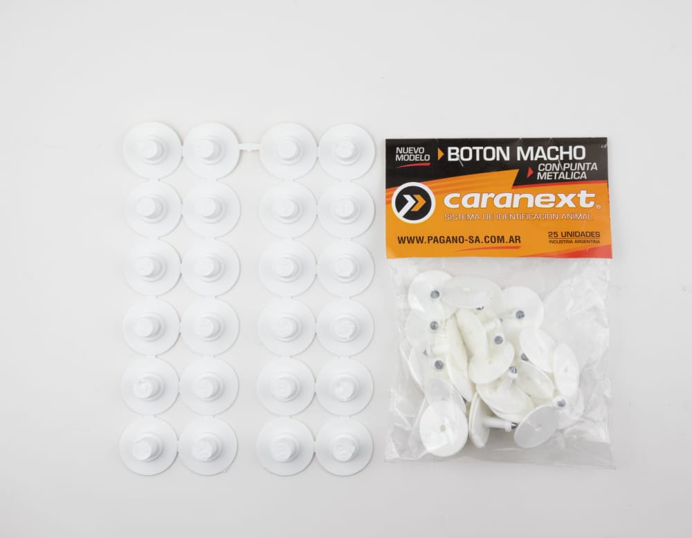 Imagen de ARETE BOTON PORCINO BLANCO 25 UDS.