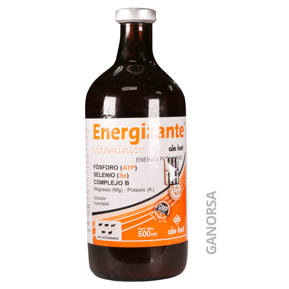 Imagen de ENERGIZANTE ALEBET 500 ML