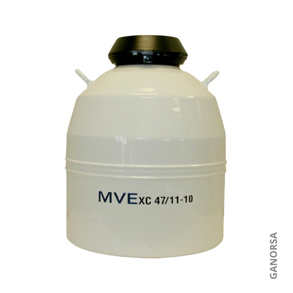 ´Producto TERMO CRIOGENICO MVE XE 47/11-10