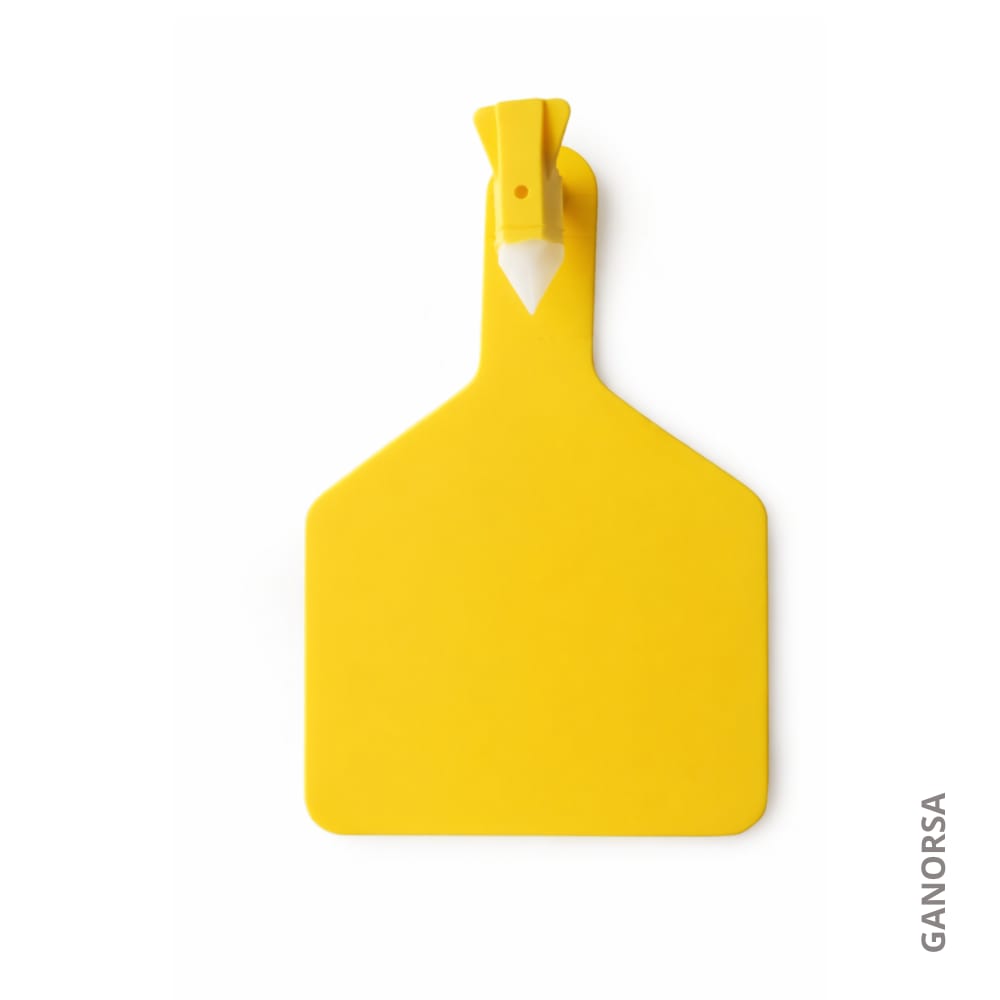 ´Producto ARETES AMARILLOS IVS DE UNA PIEZA X 25 UDS