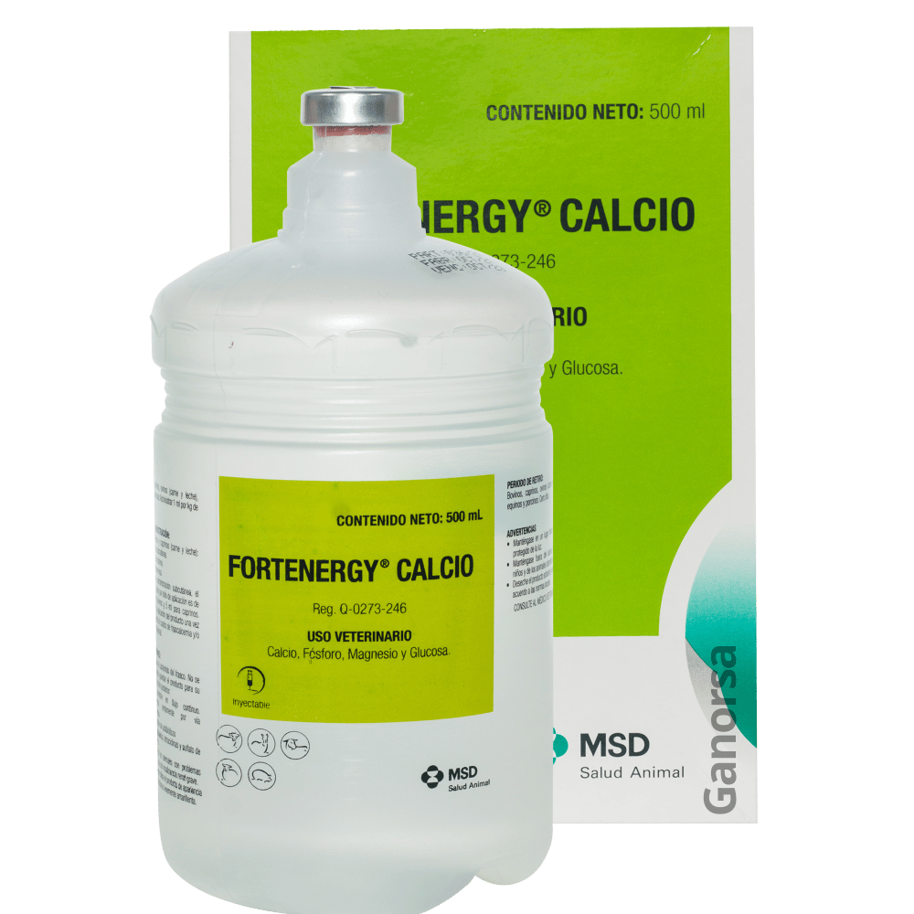Imagen de FORTENERGY CALCIO X 500 ML