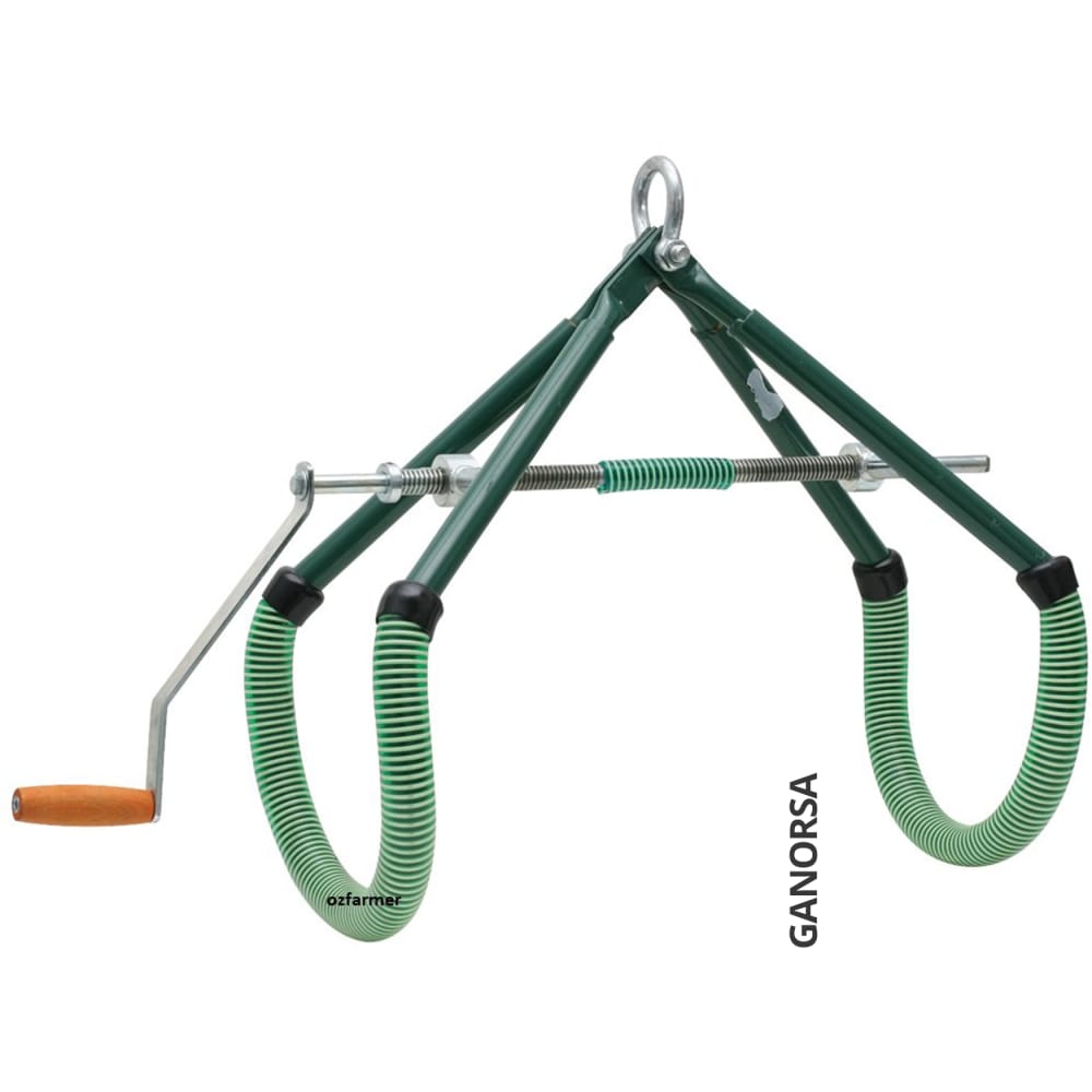 ´Producto LEVANTADOR DE CADERA PARA BOVINOS