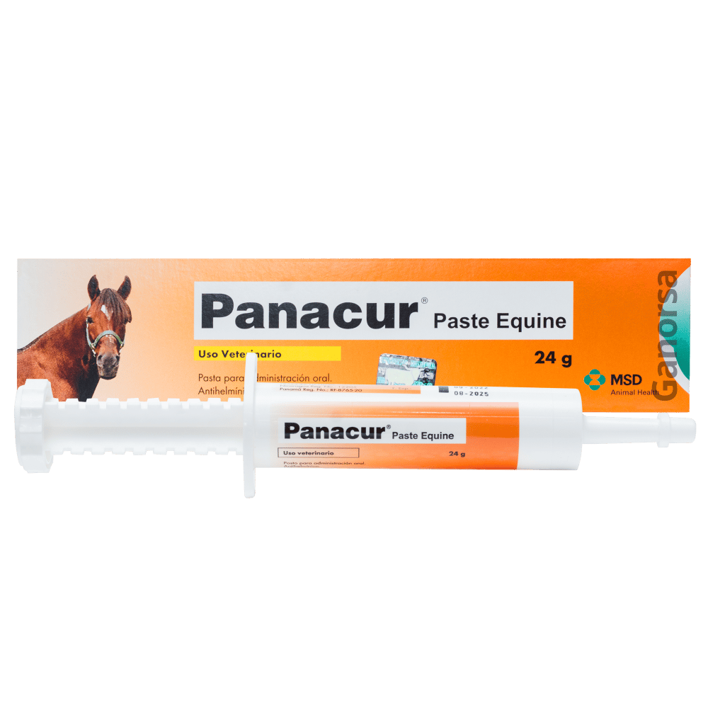 Imagen de PANACUR PASTA PARA EQUINOS JERINGA 24G