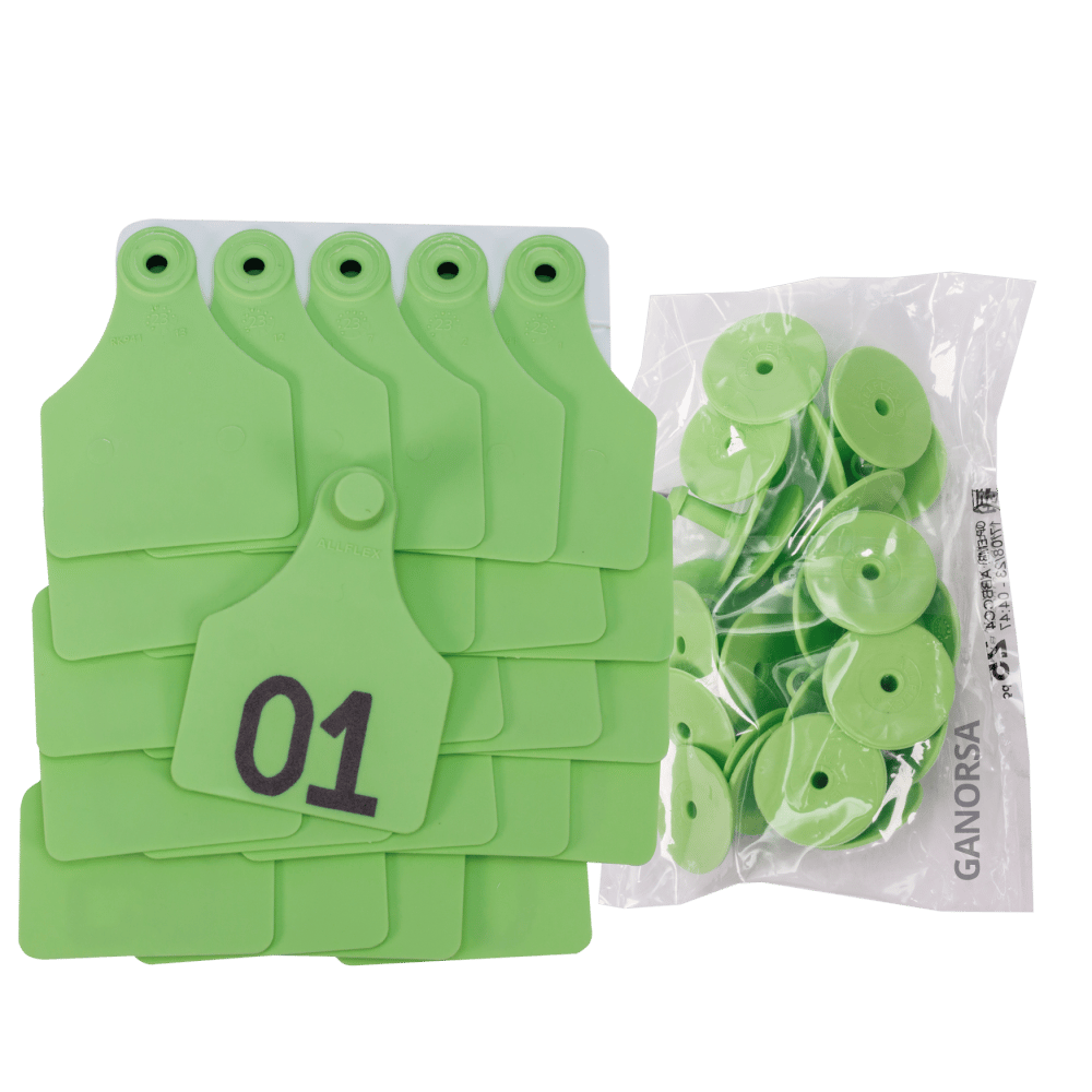 Imagen de ARETE ALLFLEX GRANDE VERDE NUMERADO UNIDAD