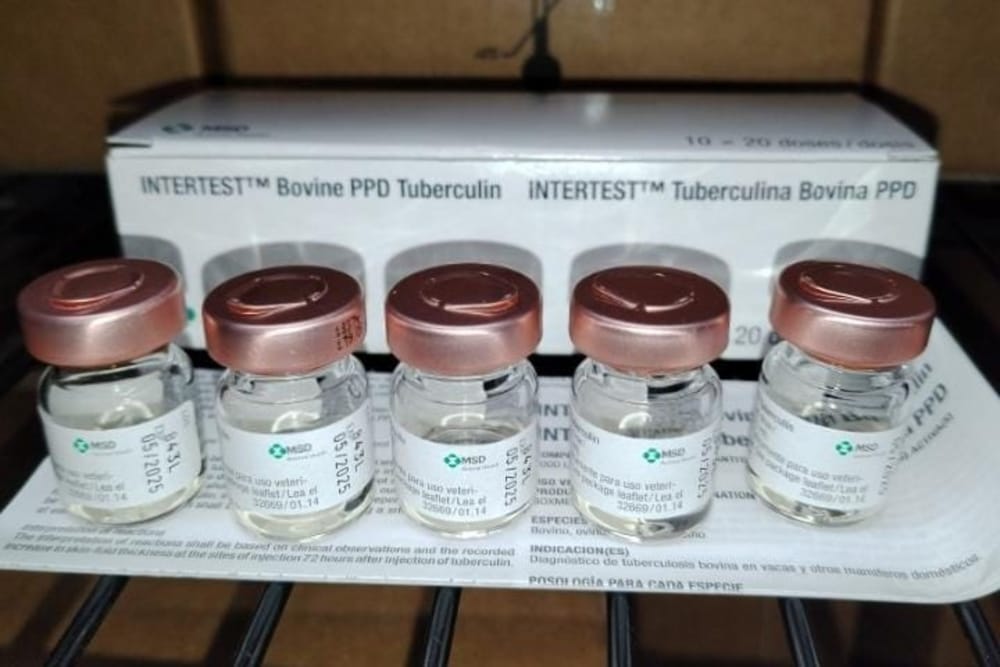 Imagen de INTERTEST BOVINE PPD TUBERCULIN 1 X 20 DOSIS