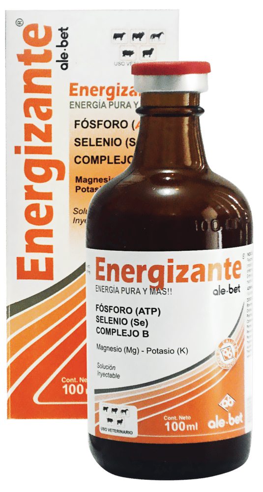 Imagen de ENERGIZANTE ALE BET x 100 ML
